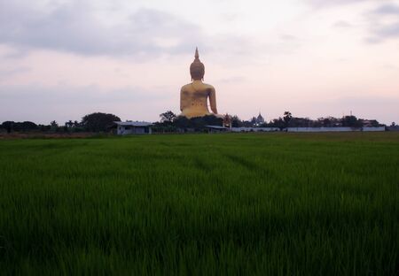 Buddha on rice field with the sunrise.の写真素材