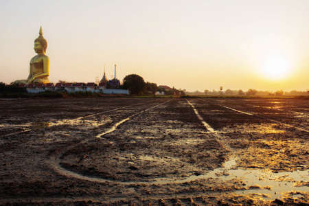 Big Buddha on rice field with the sunset.の写真素材