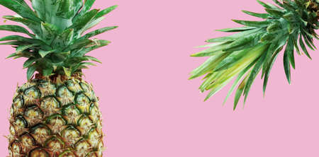 Fresh pineapple on a pink background.