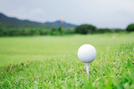Golf ball on green lawn in the park.の写真素材