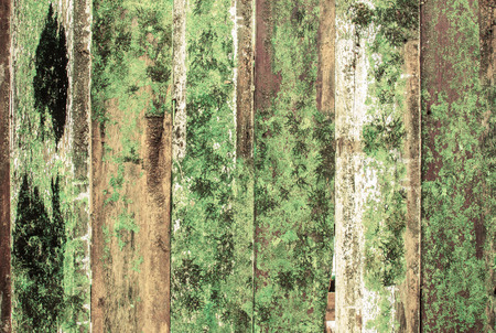 Texture details of old and dirty wood panels.の写真素材