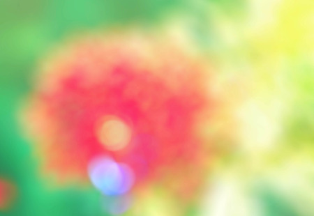 Red flowers with colorful on the blurred image.の写真素材