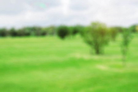 Trees on the lawn with blurred images.の写真素材