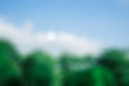 Trees and sky with blurred images.の写真素材