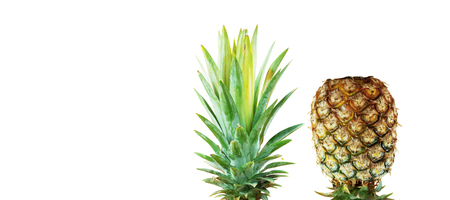 Pineapple of fresh with the white background.の写真素材
