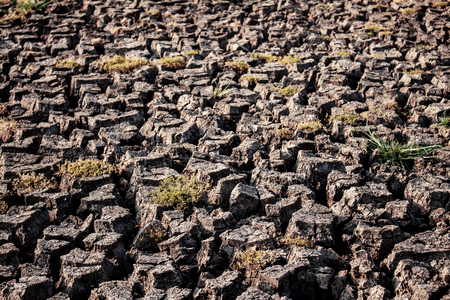 Ground of cracked in the summer with texture background.の写真素材