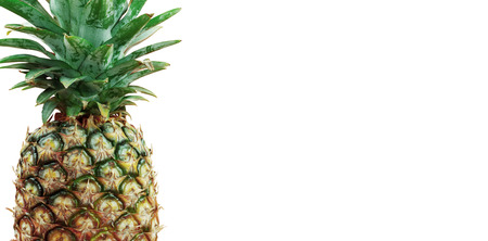Pineapple of fresh with the white background.の写真素材