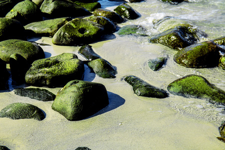 Rocks on shore at the sea with background.の写真素材