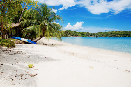 Sand beach and coconut tree at sea in summer.の写真素材