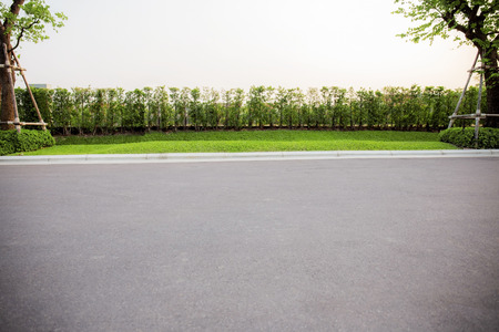 Ornamental in park and road with the white background.の写真素材