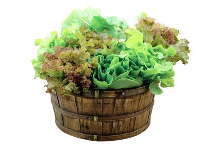 Organic vegetables of wet on basket with isolated background.の写真素材