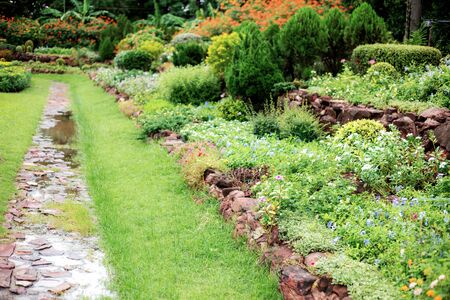 Footpath and flower in park with the sunlight.の写真素材