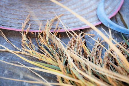 Ears of rice and hat on a wood floor.の写真素材