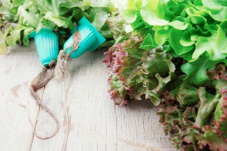 Vegetables of organic on wood with background.の写真素材