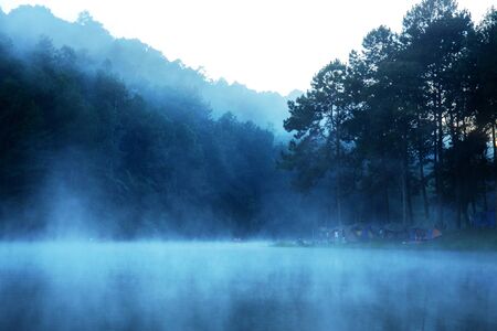 Mist in the morning with the beauty of nature.の写真素材