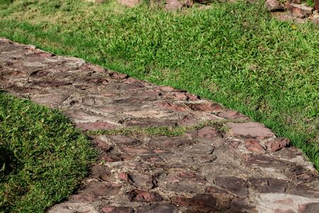 Pathway and grass in the garden.の写真素材