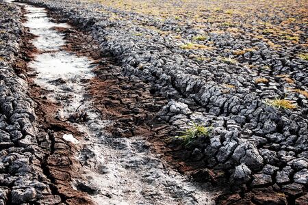 Dry ground of pond with texture background.の写真素材