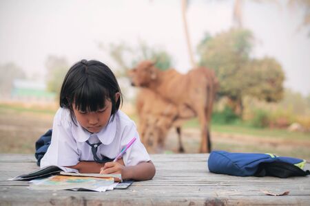 Girl with a Thai student in the countryside is doing homework.の写真素材