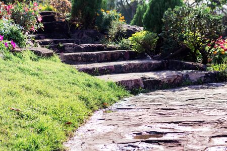 Ornamental plants and footpath in garden with the sunlight.の写真素材