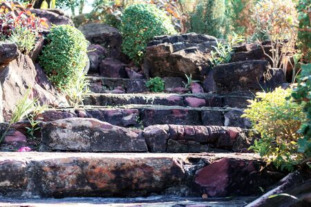 Footpath and ornamental in the garden.の写真素材