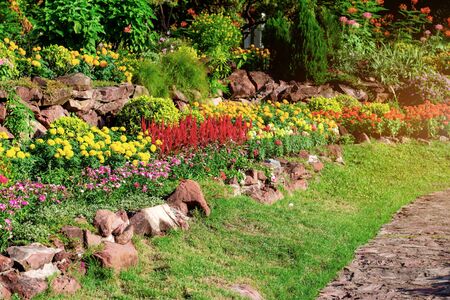 Gardening with colorful of flower at sunrise.の写真素材