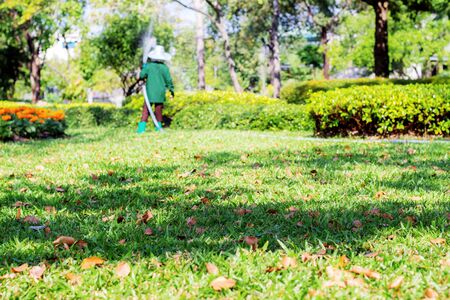 Lawn and gardener in garden with morning sun.の写真素材