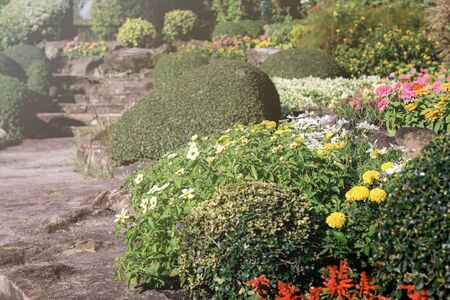 Ornamental in garden with decorated at sunlight.の写真素材