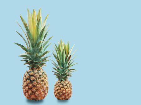 Pineapple of fresh with the blue background.の写真素材