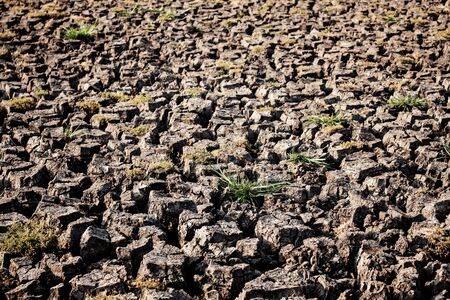 Dry ground and grass on the field.の写真素材