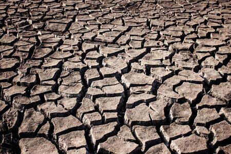 Dry ground on the field with texture.の写真素材