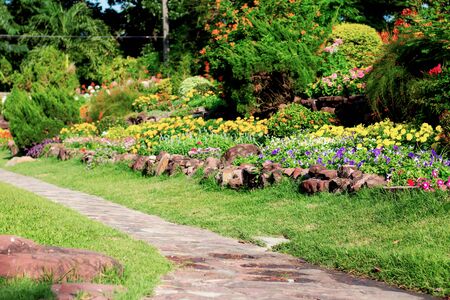 Pathway and flower in the garden.の写真素材
