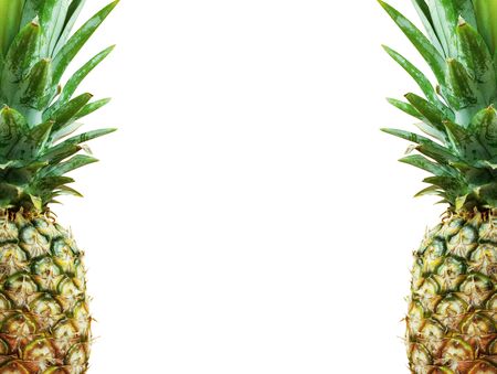 Pineapple with a white background.の写真素材