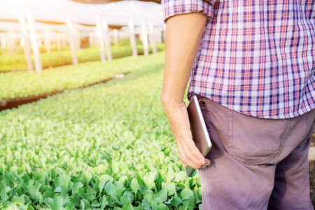 Gardeners stand holding tablets in greenhouse at sunlight.