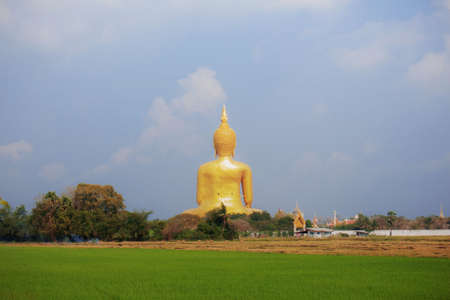 Buddha image on rice field with the sky.の写真素材