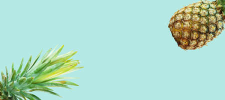 Pineapple of fresh with a green background.の写真素材