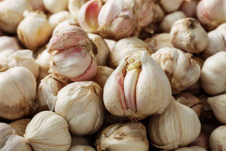 Dried garlic with detailed of surface.の写真素材