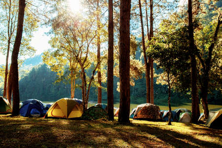 Tents of camping in forest with the sunset at sky.の写真素材