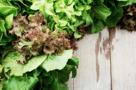 Leaves of vegetable on wooden background.の写真素材