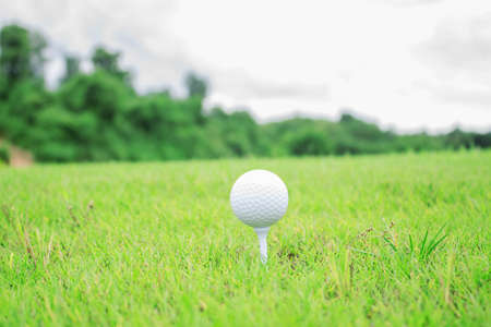 Golf ball on grass with a natural green background.の写真素材