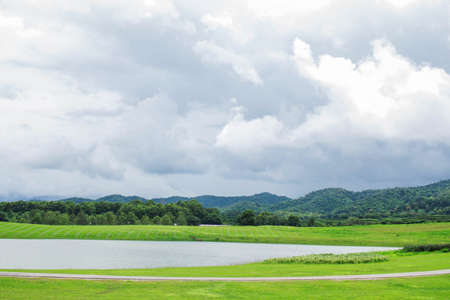 Lawns and ponds in the garden.の写真素材