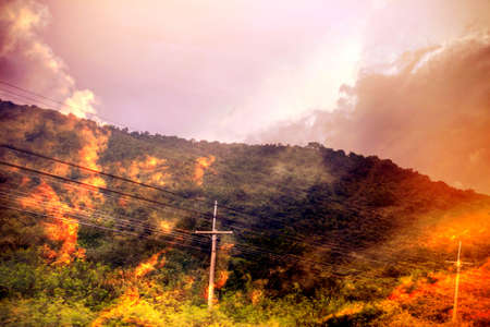Forest fires are burning trees on the mountain.の写真素材