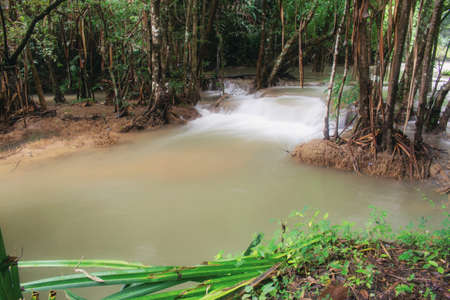 Waterfall in the forest and plant of spring.の写真素材