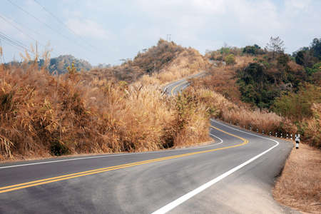 Road of street and meadow in countryside with the sky.の写真素材