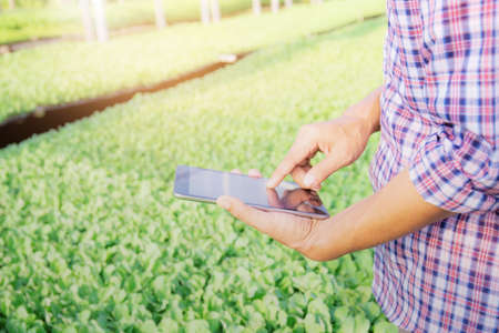 Gardeners are using tablets to collect agricultural information.の写真素材