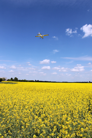 Canola, Oilseed Rape, Biodiesel Crop and skyの写真素材