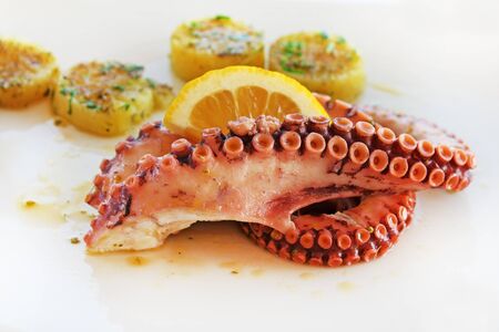 Grilled octopus with potatoes and lemon on white plate close up.の写真素材
