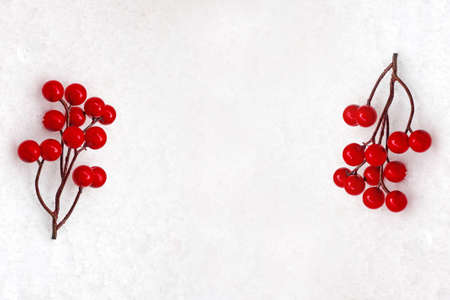 Red berries on a snowy background. Ideas for christmas time.の写真素材