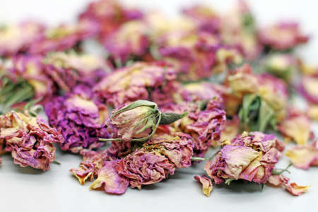 Dry rose buds for tea on white background. Selektive focus.の写真素材