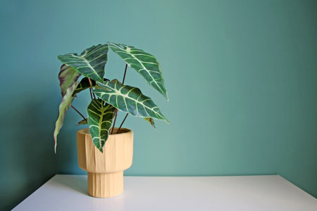 Artificial house plant in a pot on a white table against a green wallの写真素材
