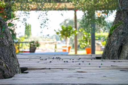 Wooden table in the garden with tree and bokeh background